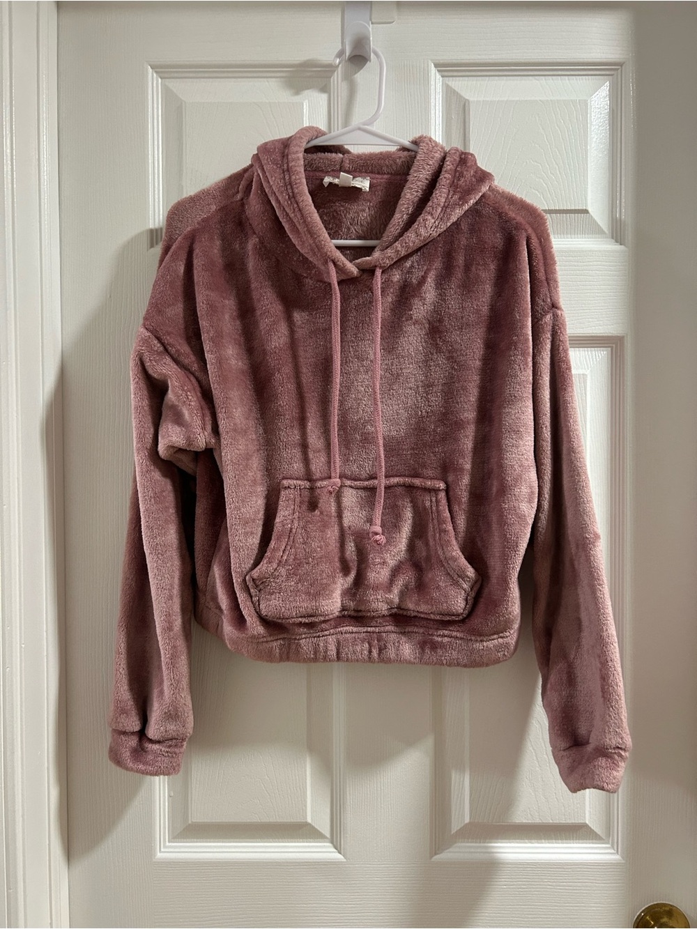 Pink Rose Plush Hoodie in Mauve Pink
